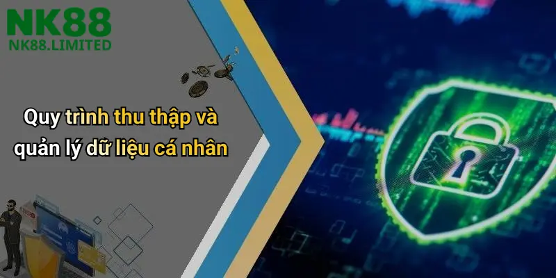 Quy trình thu thập và quản lý dữ liệu cá nhân